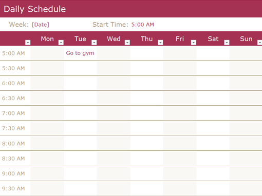 daily schedule template 33
