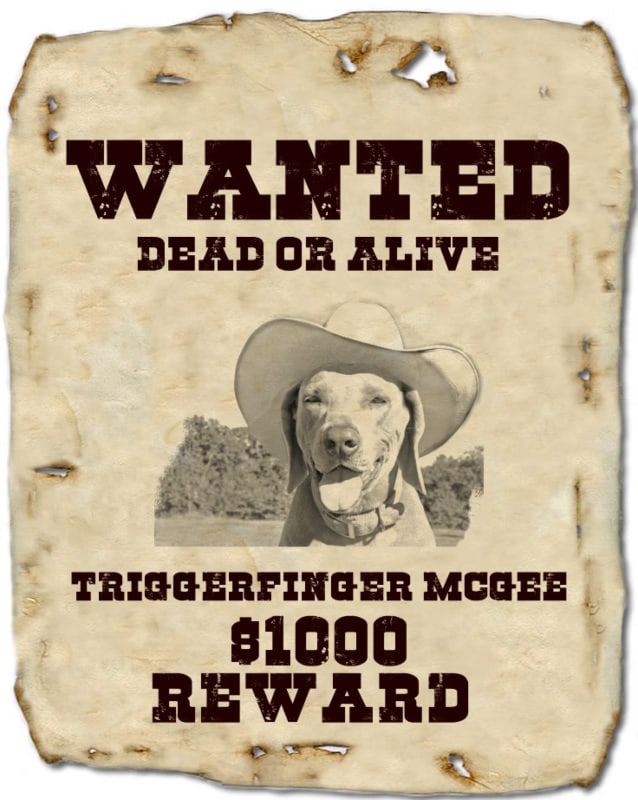 wanted poster template 22