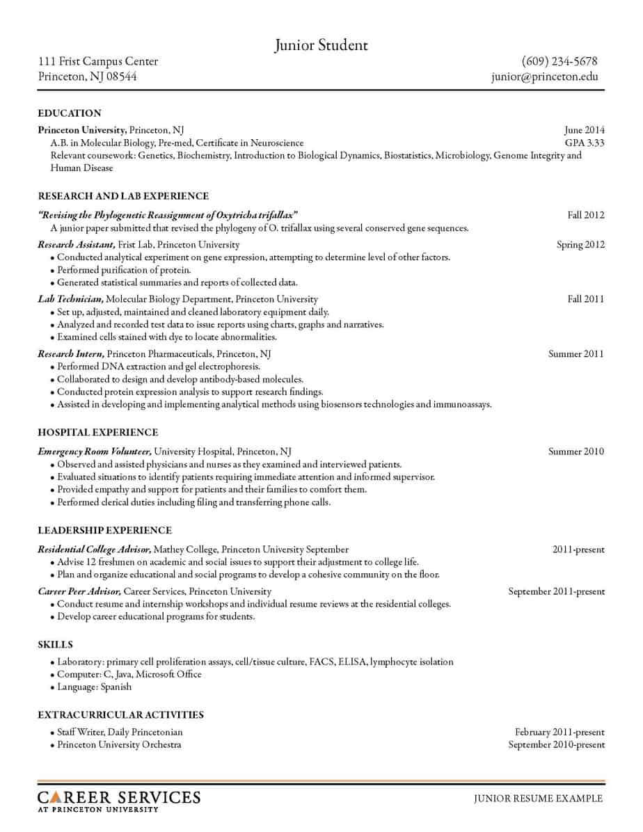 Graduate: Sample CV template and guide