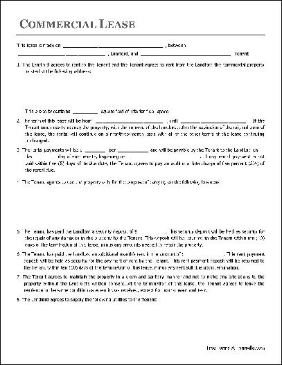 Commercial Lease Agreement 4589