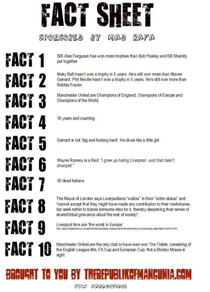 how to write a fact sheet template