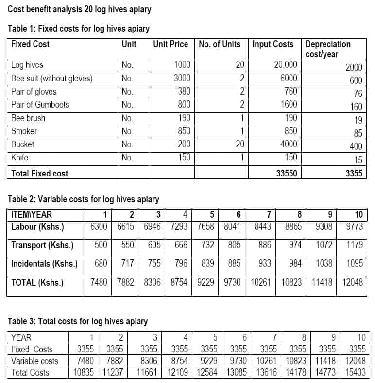 Cost Benefit Analysis Table