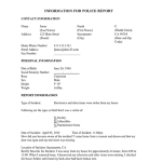 5 Police Report Templates