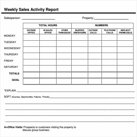 sales report template 22