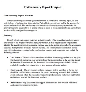 summary report essay example