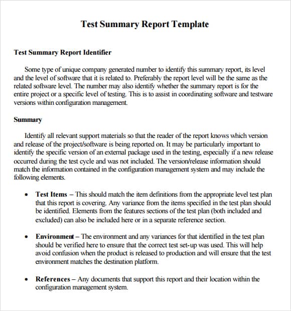 summary report template 55