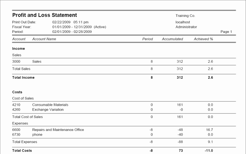 Profit and Loss Statement 21241