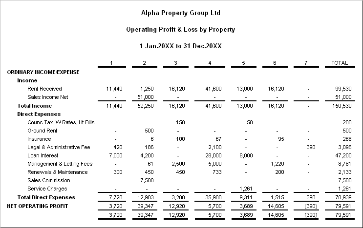 Profit and Loss Statement 32154