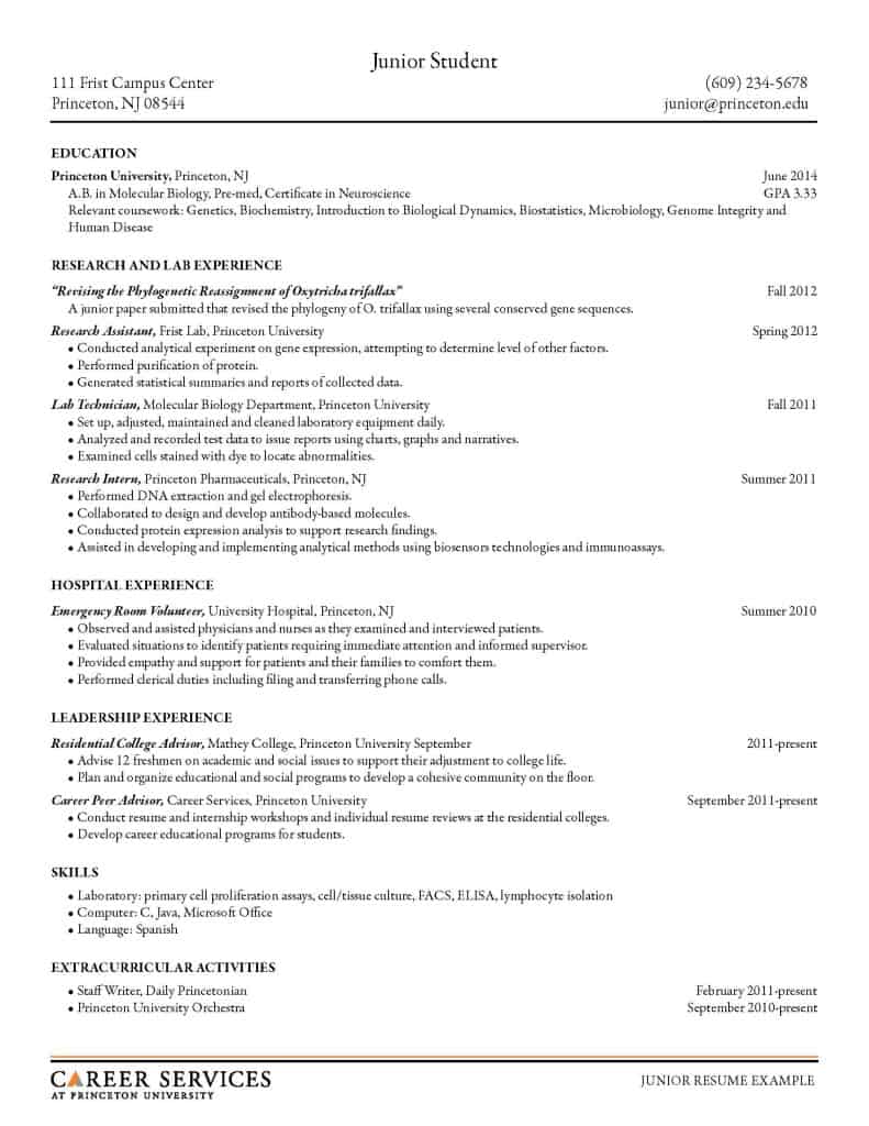 resume in excel