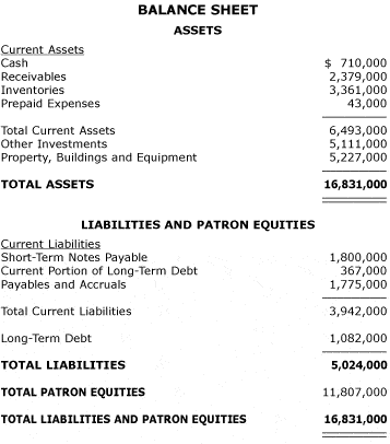 balance sheet template 798798