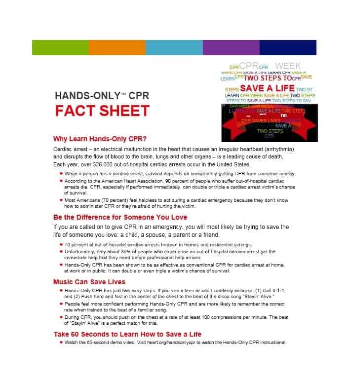Fact Sheet Template Microsoft Word Creative Design Templates fact-sheet-template-microsoft-word-creative-design-templates