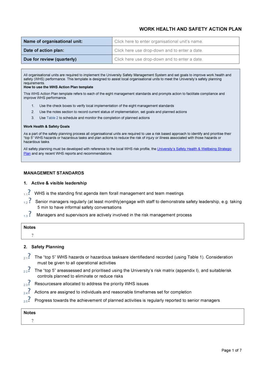 8+ Free Action Plan Templates - Excel PDF Formats